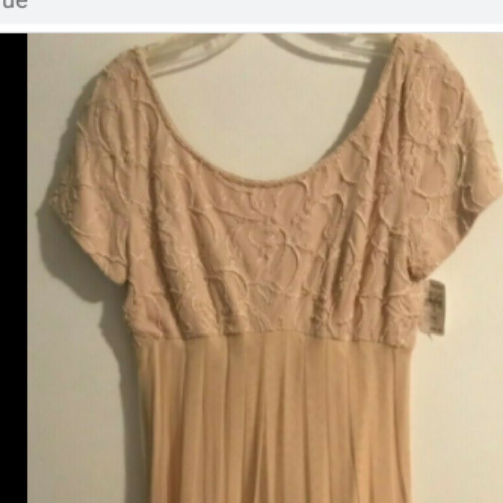 *NWT* Nude/Champagne beaded empire waist dress - Picture 5 of 6